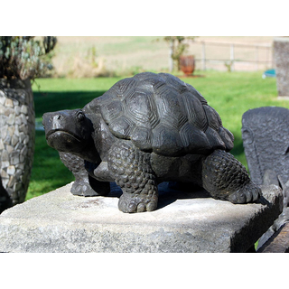 Seestern Homedeko Schildkrte Turtle Garten Statue Figur Skulptur 45 cm Steingu fr innen & auen /2480