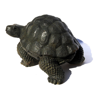 Seestern Homedeko Schildkrte Turtle Garten Statue Figur Skulptur 45 cm Steingu fr innen & auen /2480