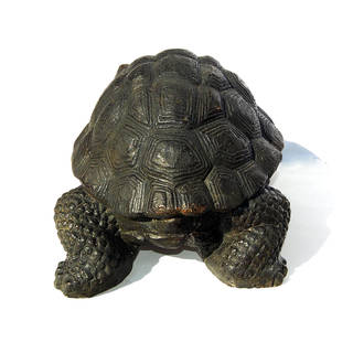 Seestern Homedeko Schildkrte Turtle Garten Statue Figur Skulptur 45 cm Steingu fr innen & auen /2480