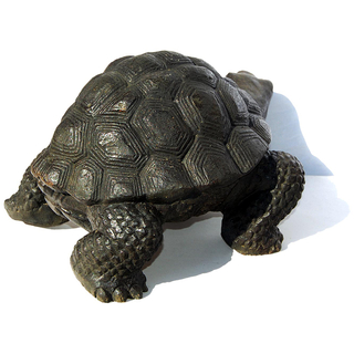 Seestern Homedeko Schildkrte Turtle Garten Statue Figur Skulptur 45 cm Steingu fr innen & auen /2480