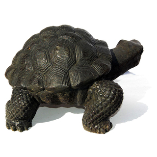 Seestern Homedeko Schildkrte Turtle Garten Statue Figur Skulptur 45 cm Steingu fr innen & auen /2480