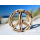 SEESTERN Treibholz Deko m. PEACE ( 40 cm ) Motiv Wanddeko Driftwood Schild Holzdeko /1435